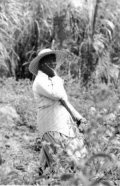 Viaggio alle Barbados - Contadina nei campi di canna da zucchero